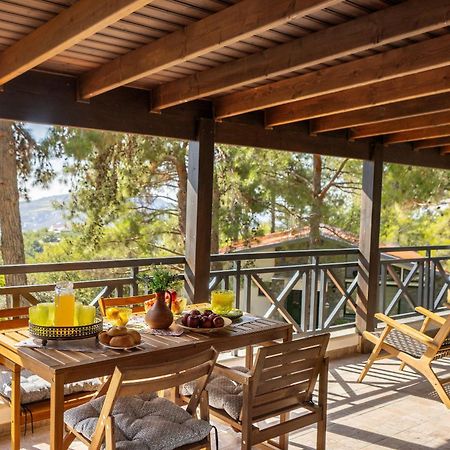 Platres Forest View Cottage المظهر الخارجي الصورة